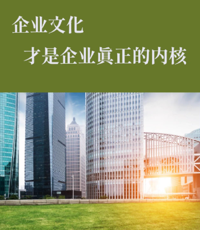 小微企业展示型官网改版方案：按需定制简易网页页面要点